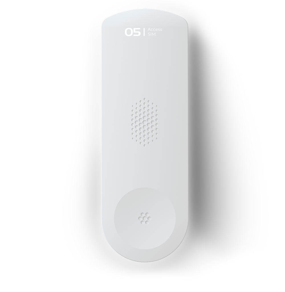 access sim web 1