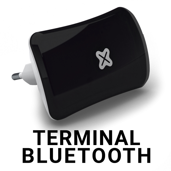 Terminal Bluetooth